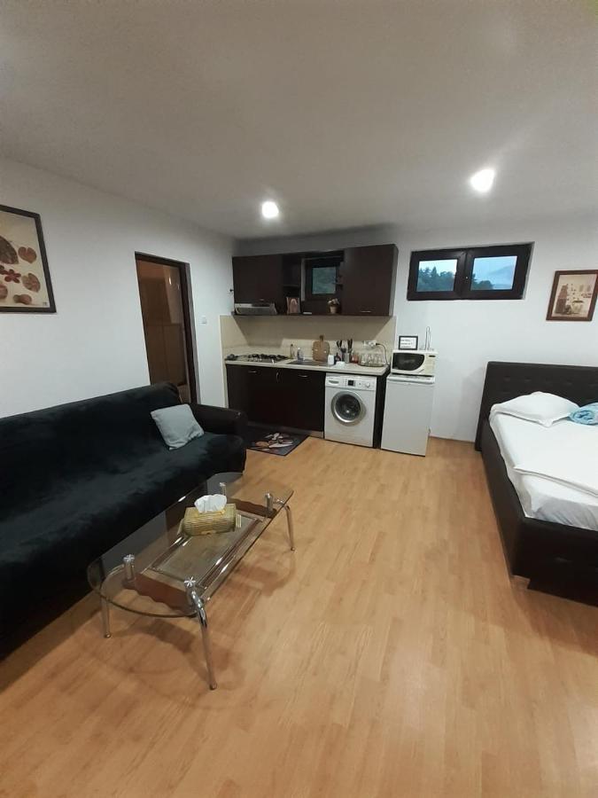 Appartamento Apartament Relax Călimăneşti Esterno foto